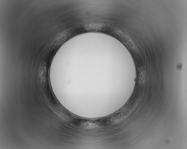 X0000116860498201001121244