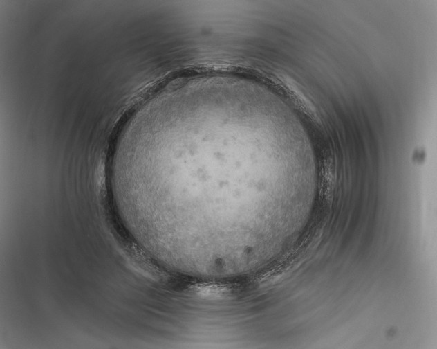 X0000116860500201001121244