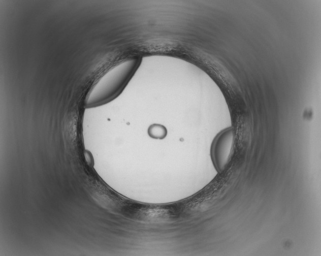 X0000116860501201001121244