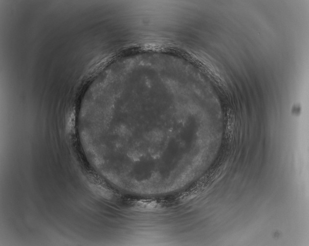 X0000116860502201001121244