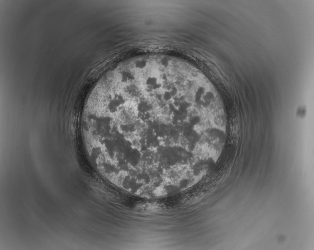 X0000116860503201001121243