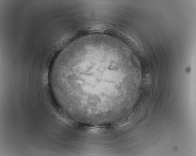 X0000116860504201001121243