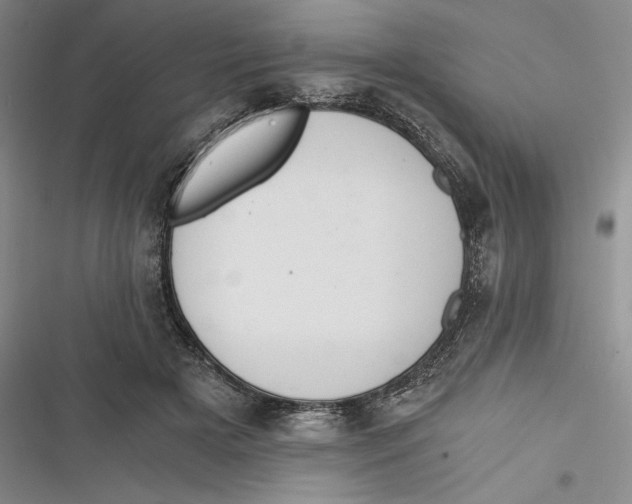 X0000116860505201001121243