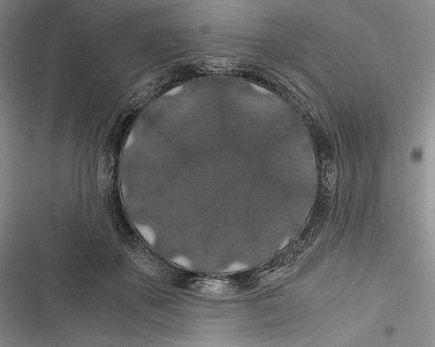 X0000116860507201001121243