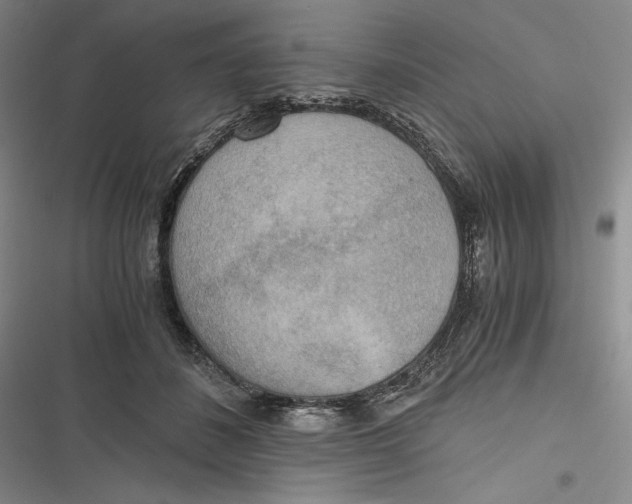 X0000116860508201001121243