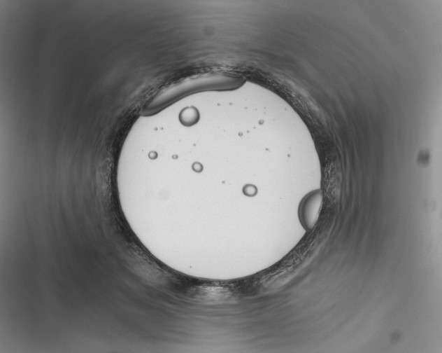 X0000116860509201001121243