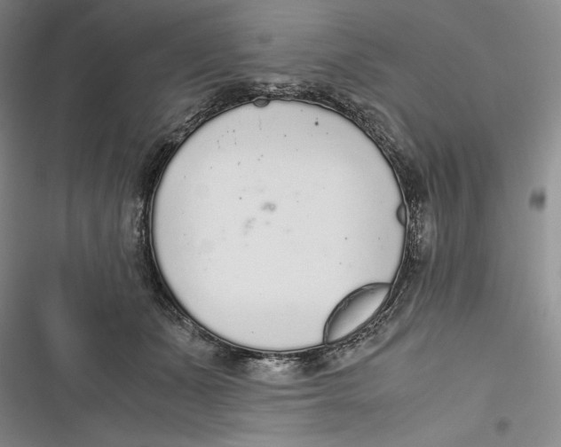 X0000116860511201001121243