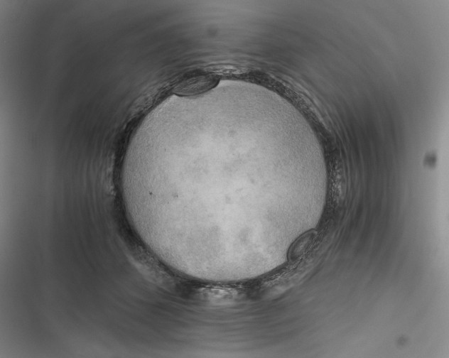 X0000116860512201001121243