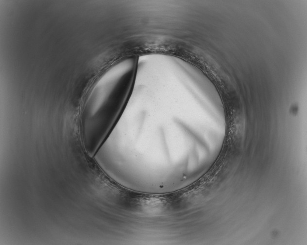 X0000116860513201001121243