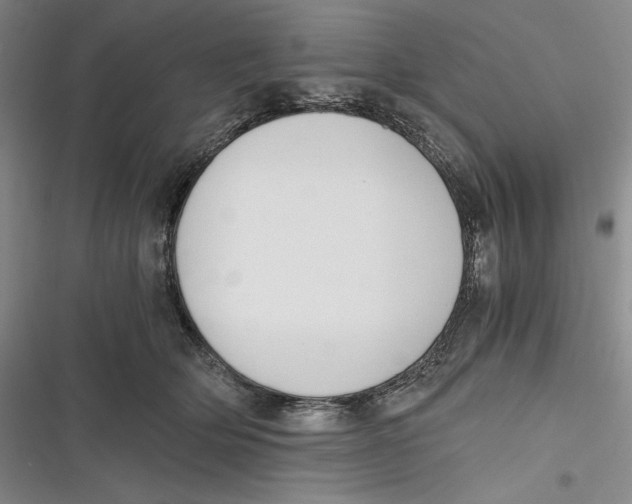 X0000116860514201001121243