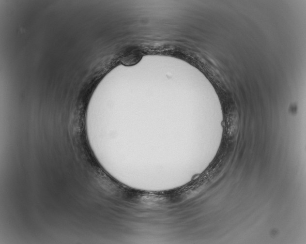 X0000116860515201001121243