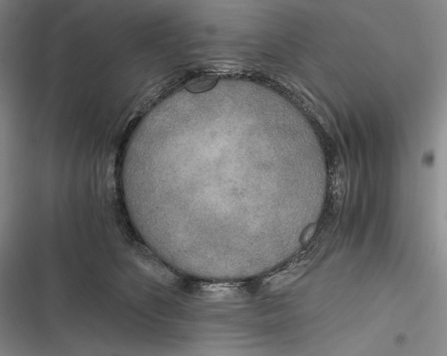 X0000116860516201001121243