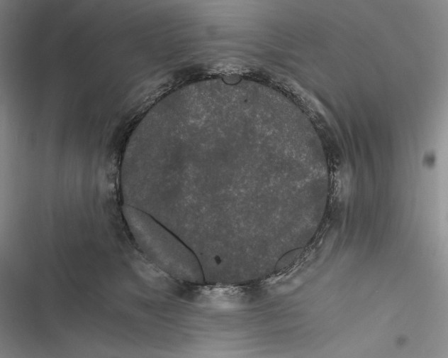 X0000116860517201001121243