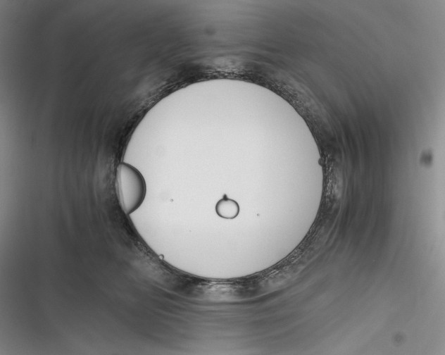 X0000116860518201001121243