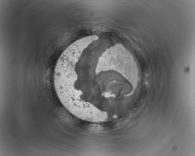 X0000116860519201001121243