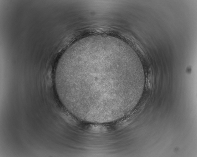 X0000116860520201001121243