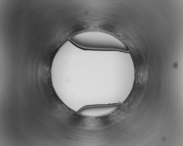 X0000116860521201001121243