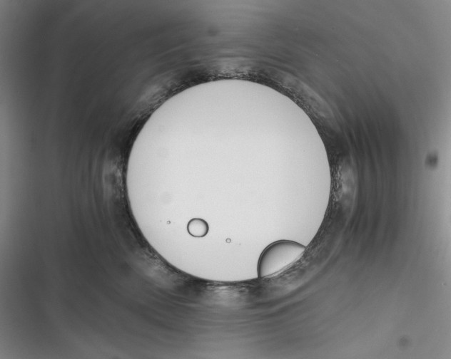 X0000116860522201001121243