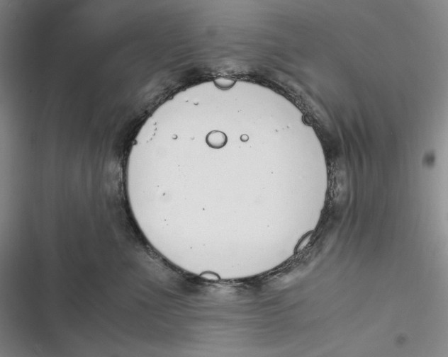 X0000116860523201001121243