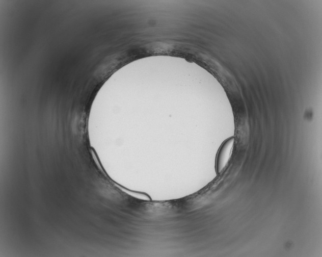 X0000116860525201001121243