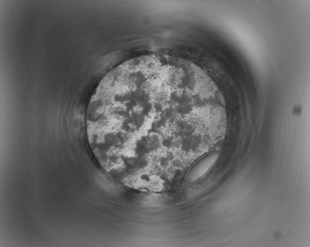 X0000116860527201001121243