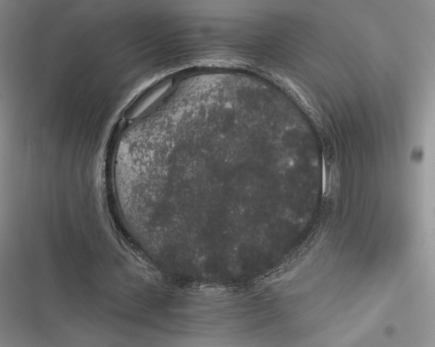 X0000116860531201001121243