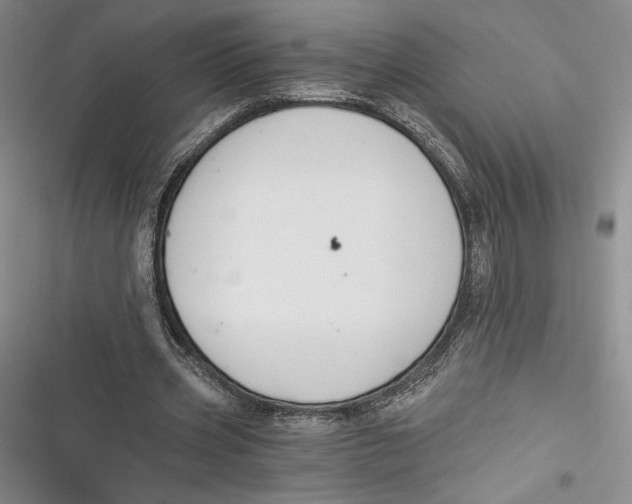 X0000116860533201001121243