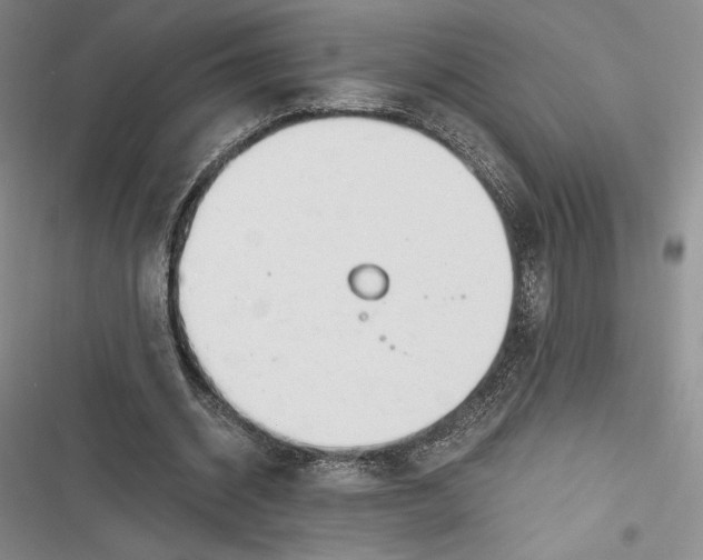 X0000116860534201001121243