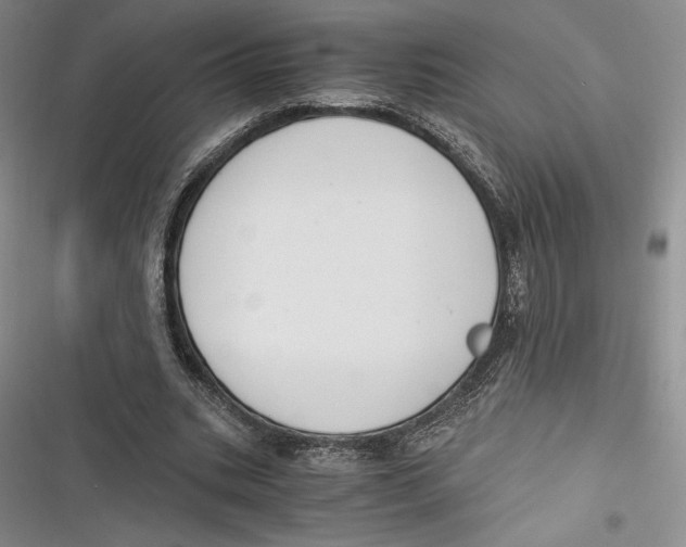 X0000116860535201001121243