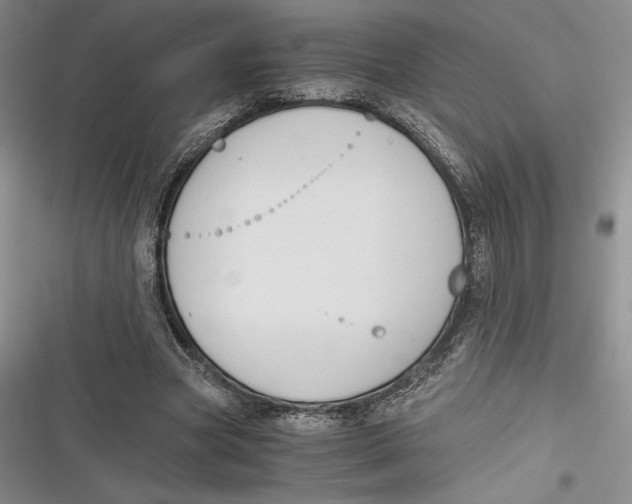 X0000116860537201001121243