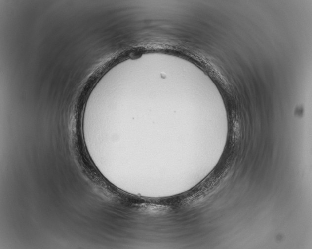 X0000116860539201001121243