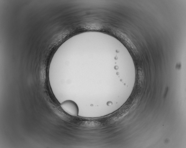 X0000116860541201001121243