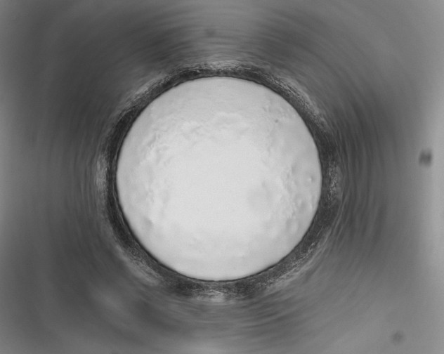 X0000116860542201001121243