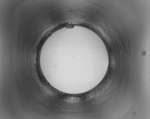 X0000116860543201001121243