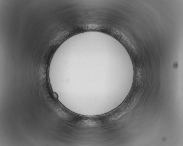 X0000116860545201001121243