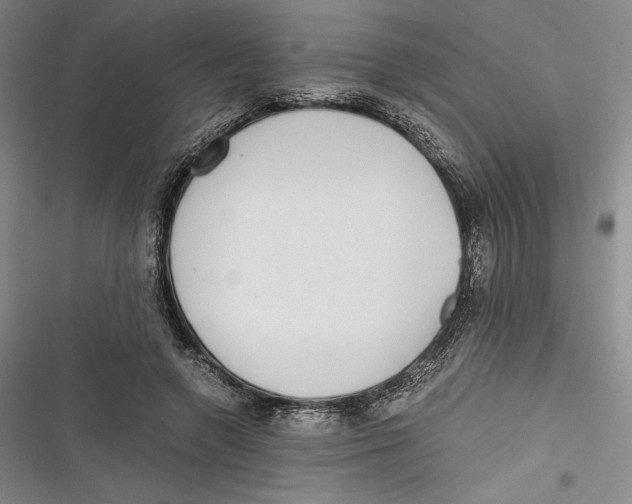 X0000116860546201001121243