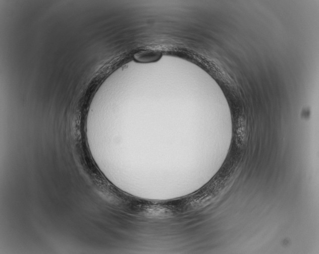 X0000116860547201001121243