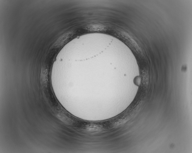 X0000116860549201001121243