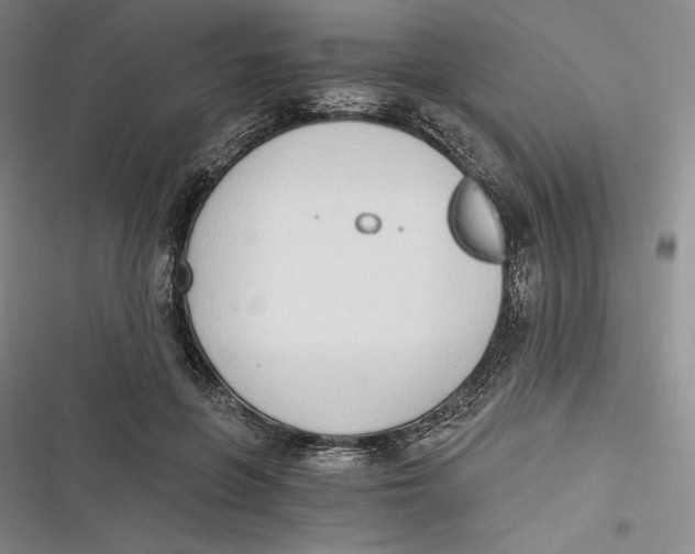 X0000116860551201001121243