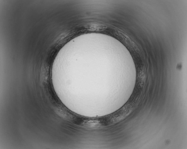 X0000116860554201001121243