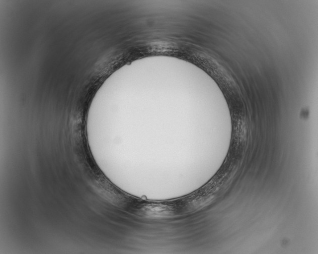 X0000116860557201001121243