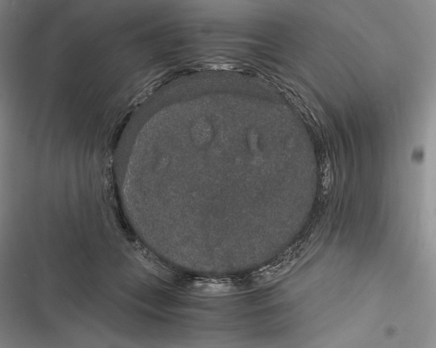 X0000116860559201001121243