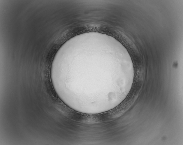 X0000116860561201001121243