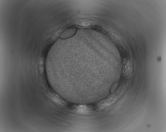 X0000116860562201001121243