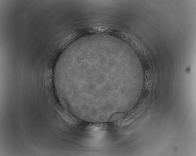 X0000116860563201001121243