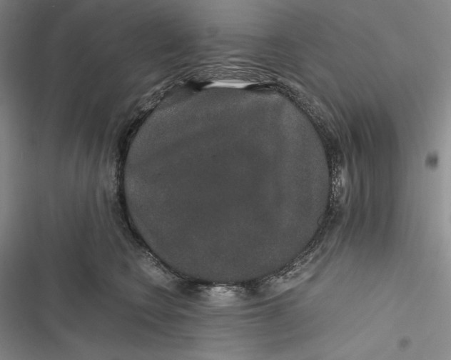 X0000116860566201001121243