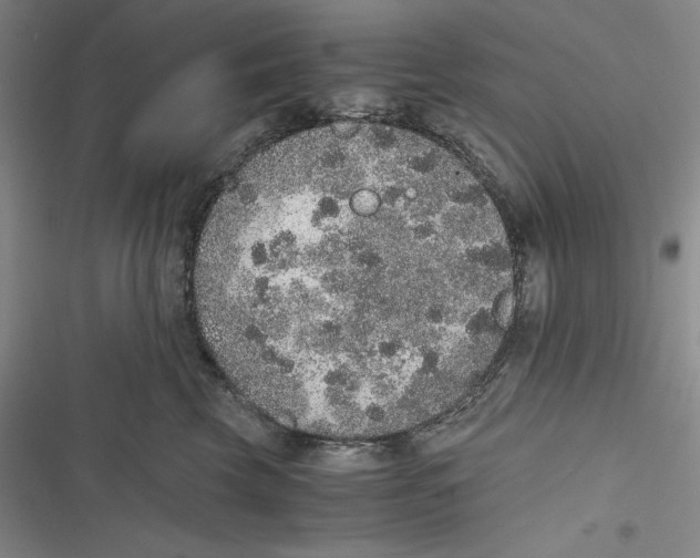 X0000116860569201001121243