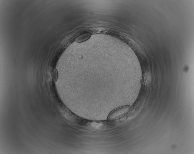 X0000116860570201001121243