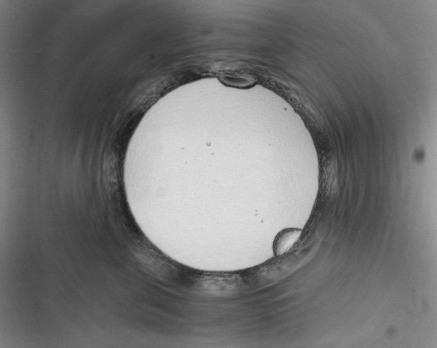 X0000116860571201001121243