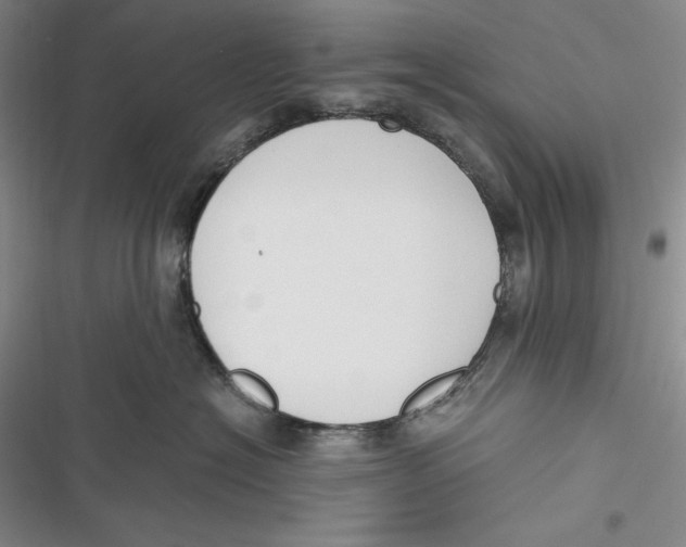 X0000116860574201001121243